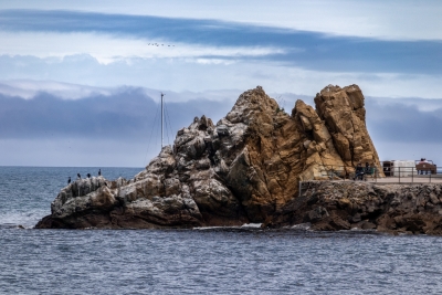 A jagged rock formation jutting into the harbor at Catalina Island, cormorants perched on the rocks and people relaxing on a bench nearby.