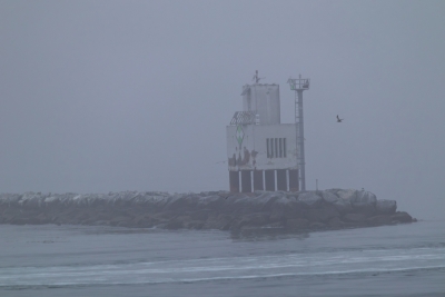 long-beach-harbor-robot-light-fog